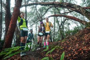 BIB: 
                            <button type="button" onclick="openModal(26344026)" class="btn btn-primary btn-sm float-right btn-popup" data-toggle="modal" data-target=".modal-high-quality">
                        <i class="fas fa-shopping-cart"></i> Add to Cart
                    </button>
                                            <button type="button" onclick="isThisMe(26344026, true)" class="btn btn-success btn-sm float-right btn-popup btn-isme hidden" data-toggle="tooltip" data-placement="bottom" title="นี่คือรูปของคุณใช่ไหม คลิกที่นี่เพื่อเอาเข้าอัลบั้ม">
                        <i class="fas fa-plus"></i> Add to album
                    </button>
                    <button type="button" onclick="isThisMe(26344026, false)" class="btn btn-warning btn-sm float-right btn-popup btn-isnotme hidden">
                        <i class="fas fa-ban"></i> Remove from album
                    </button>